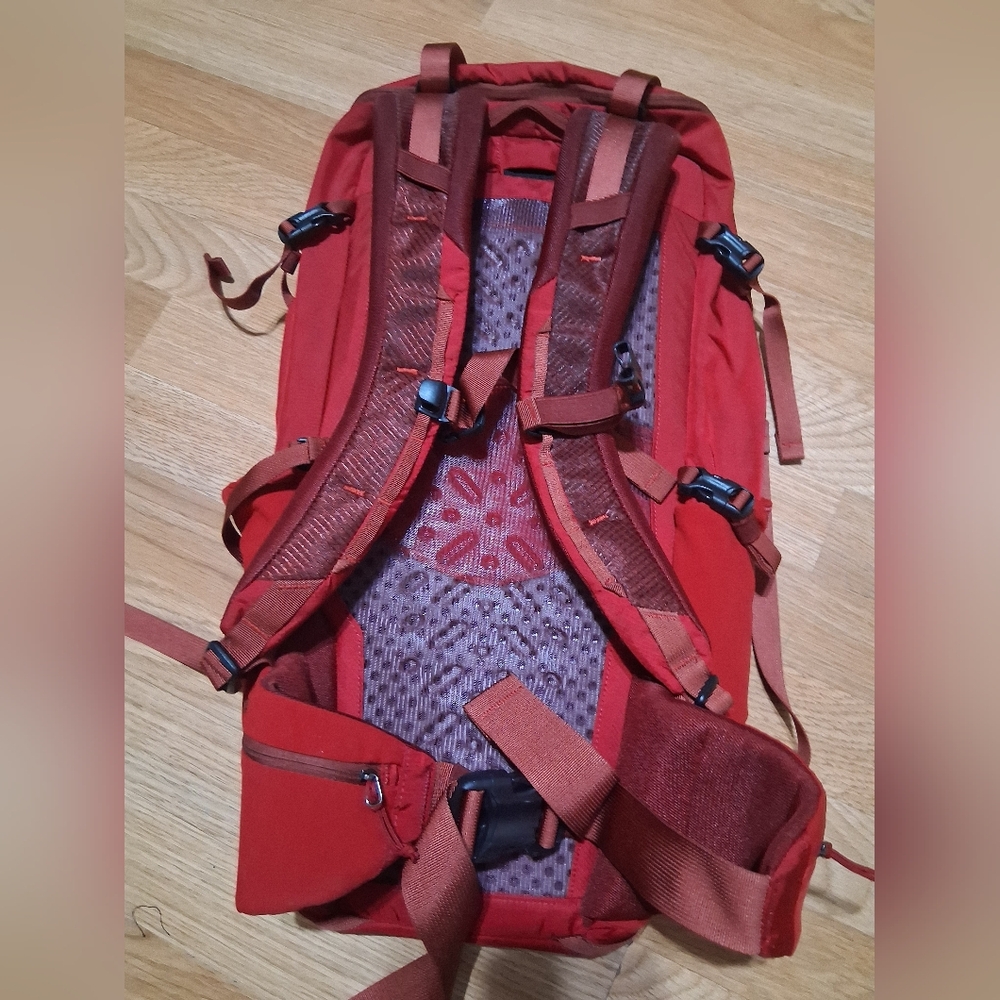 Patagonia Red Men's Daypack Backpack - Picture 7 of 8